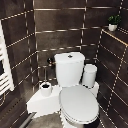 Appartement Avec Cour Plein Centre Foix Buitenkant foto